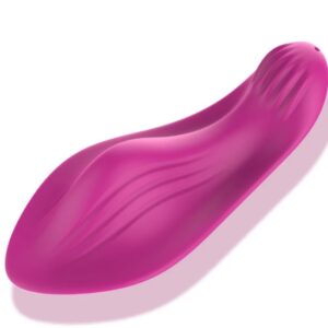 VIBRADOR CALCINHA POR APLICATIVO