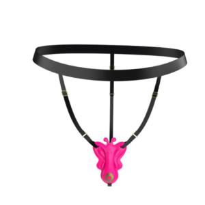 VIBRADOR CALCINHA POR APLICATIVO